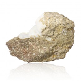 opal-mliecny-dubnik-zbierkovy-mineral-52-98-g-03q